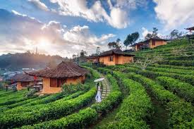 Traveling Indonesia
